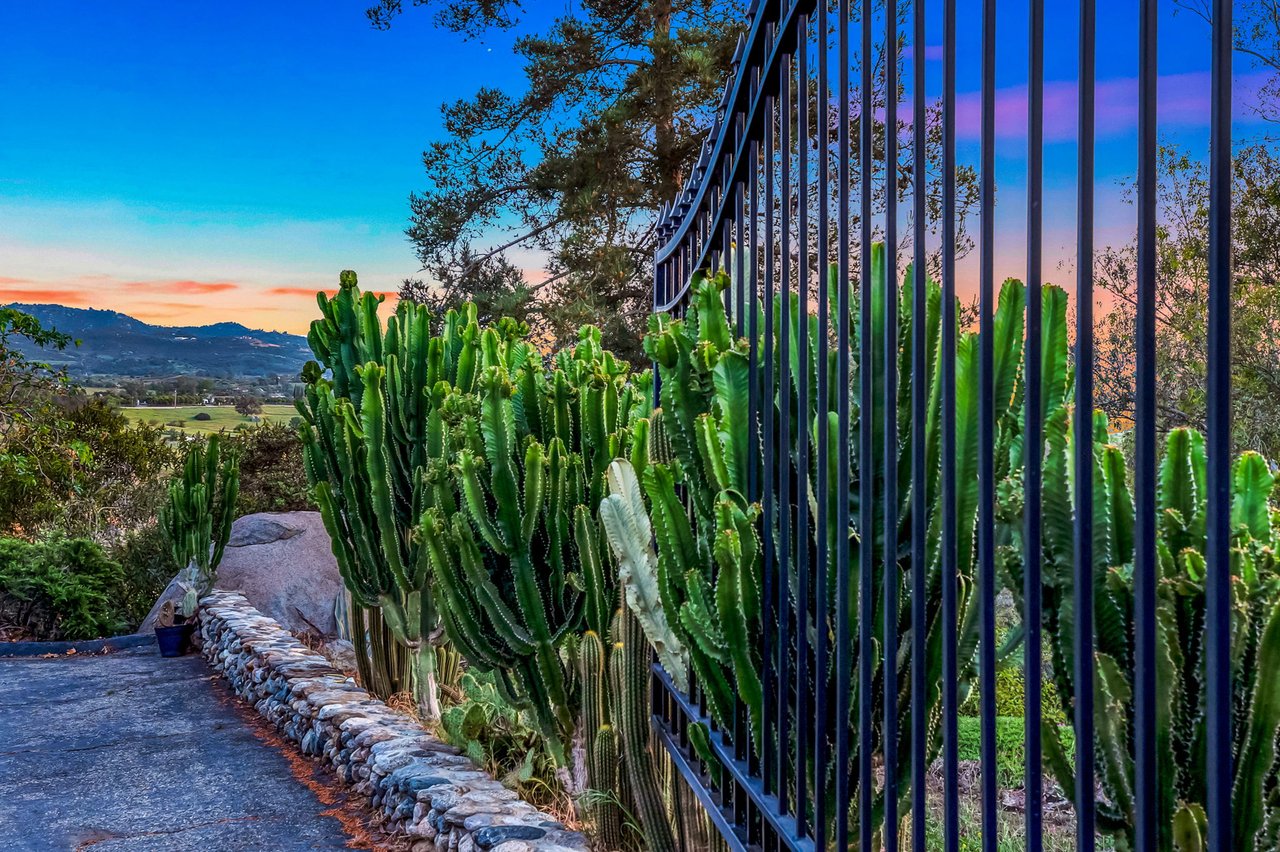 Hidden Gem!