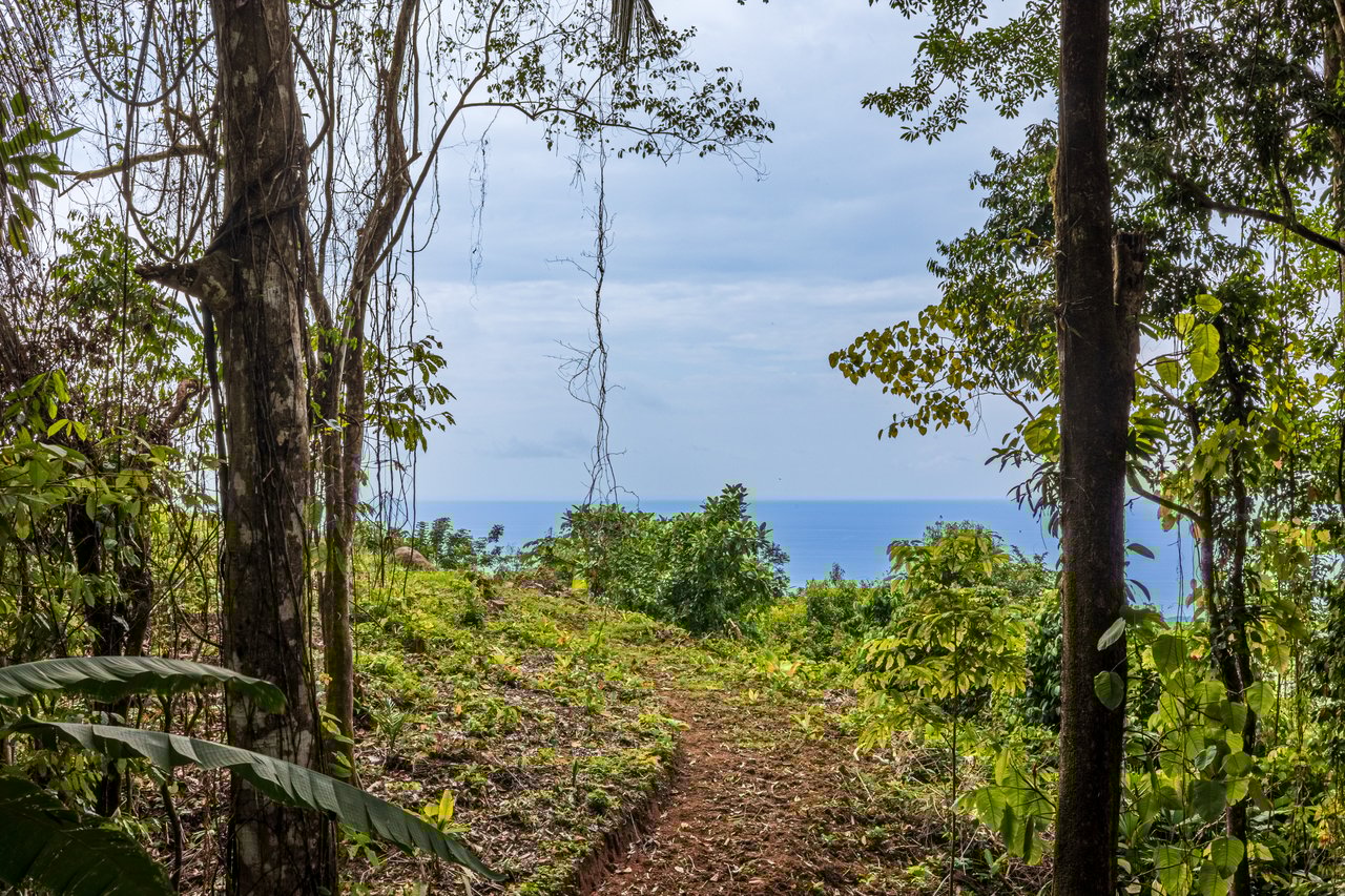 A Unique Ocean View Estate Designed for Visionary Investors