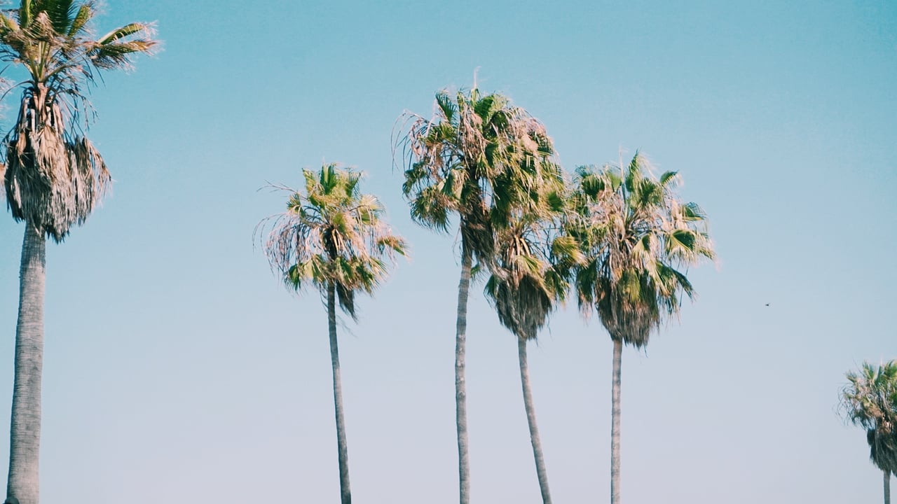 Relocating From California to Austin: What to Know Before You Move