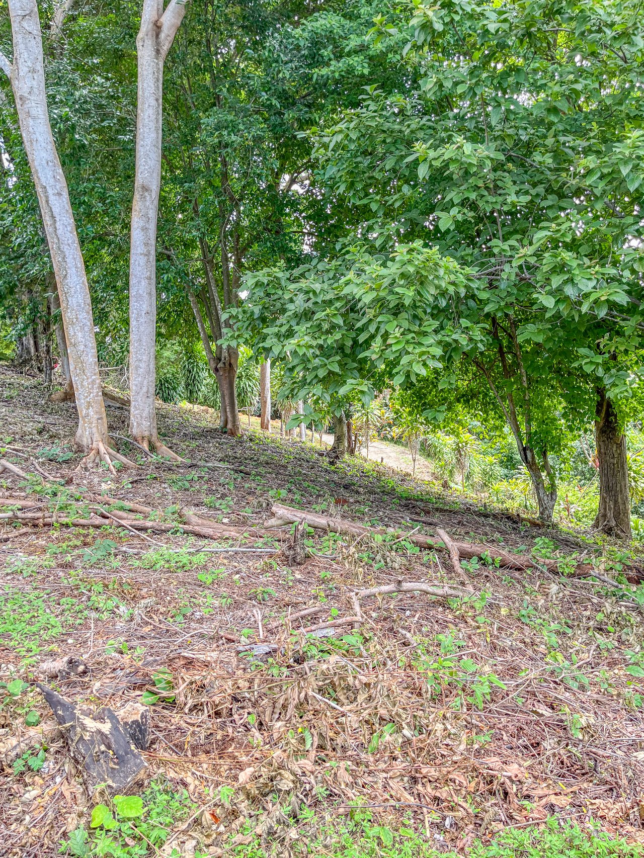 La Reserva Camaronal Lot 34