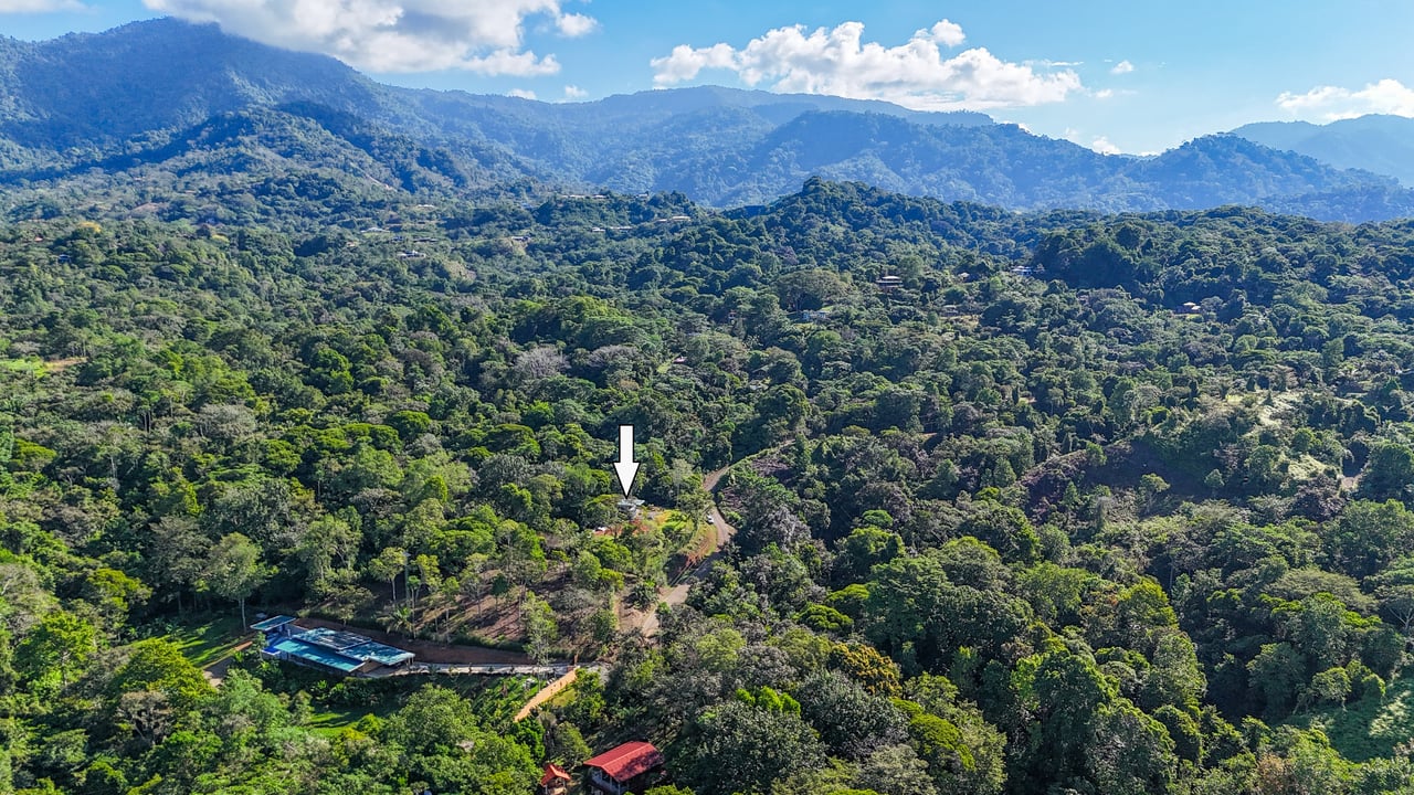 Jungle River Retreat with Airbnb & Build Space in Ojochal