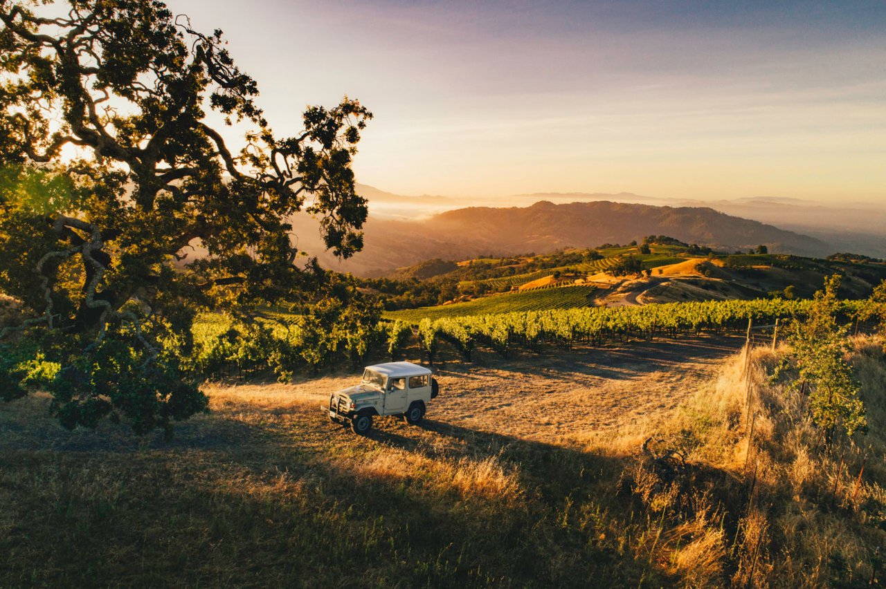 Alexander Valley Named Among Best Places To Go In 2025 by Condé Nast Traveler