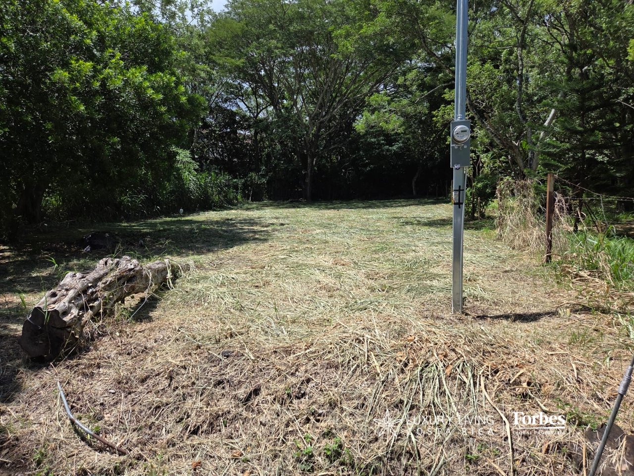 Cleared building lot bordered by trees, with a utility meter pole near the right side.