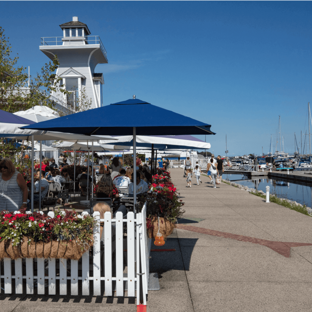 South Lake - Oakville
