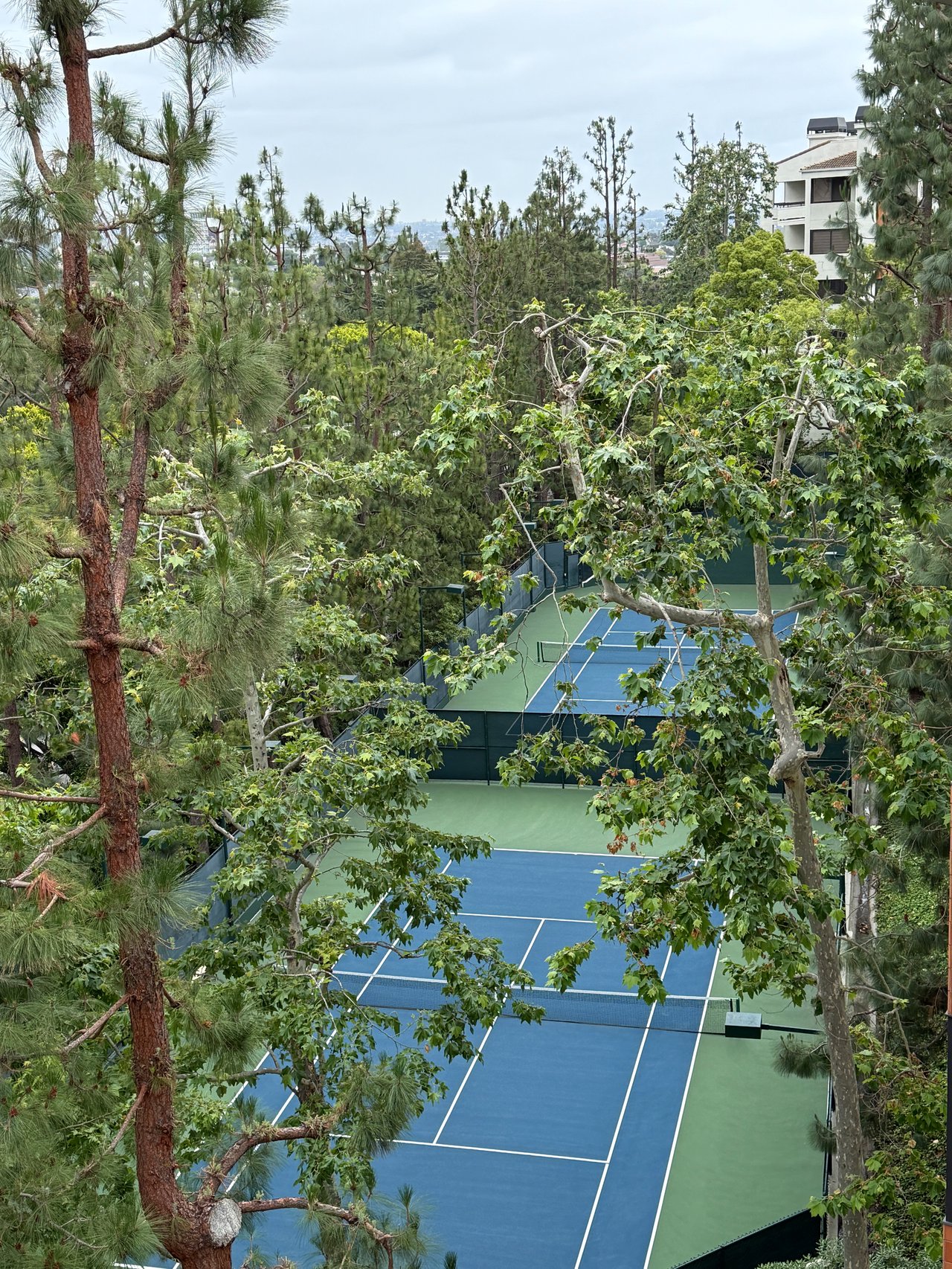 2122 Century Park Ln Unit: 109