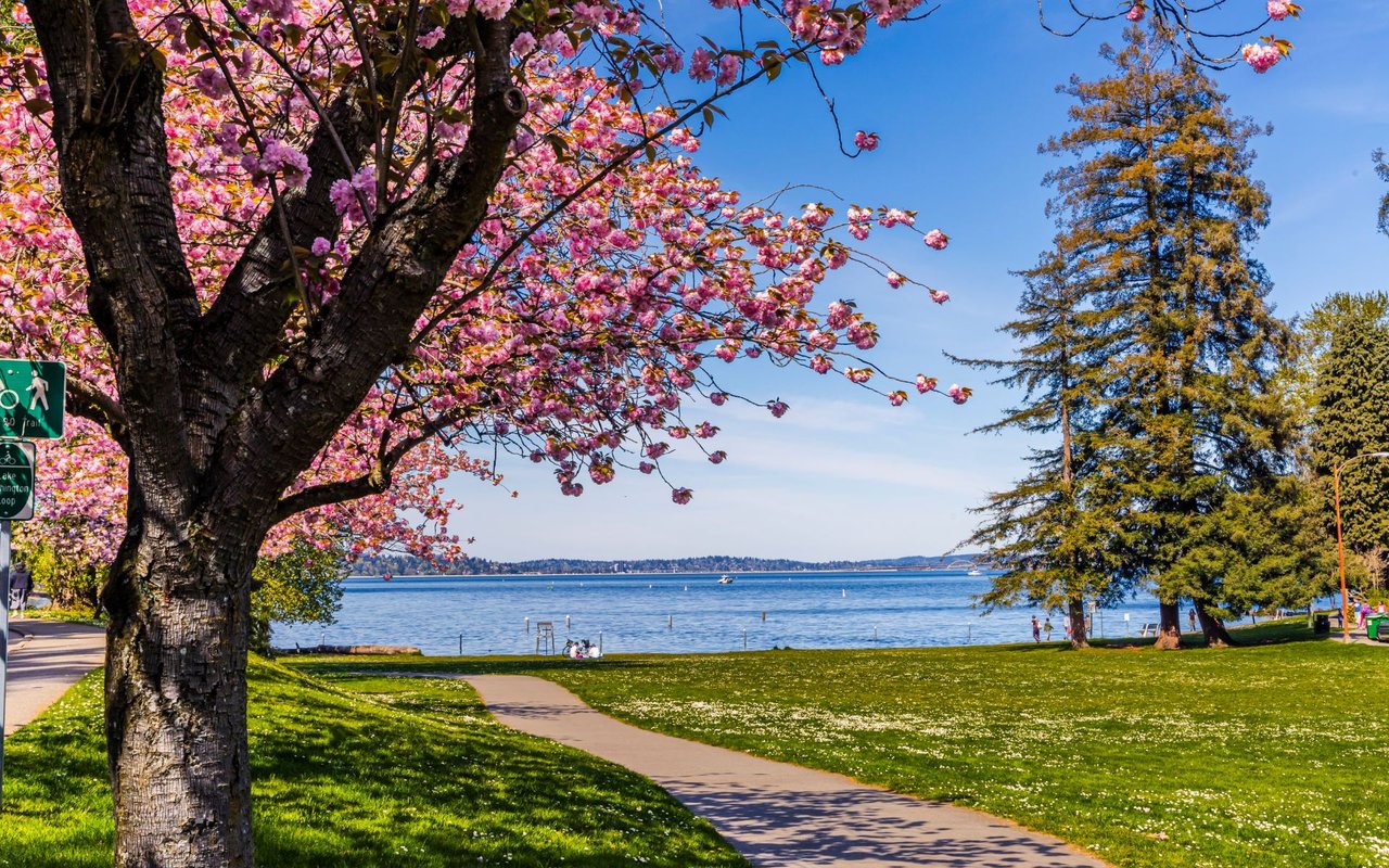 Seward Park