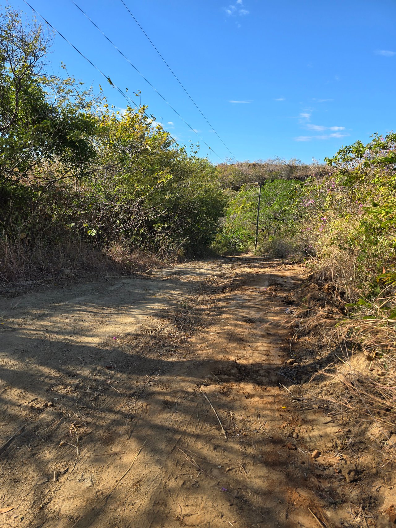 Vista Miramar Estate Lot, Pacific Heights