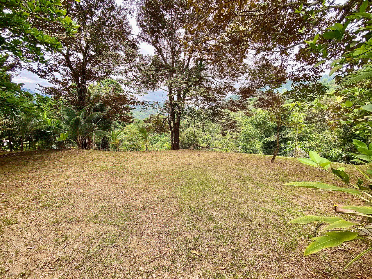 Charming 2-Bedroom Villa on 5 Acres with Creek Access and Income Potential