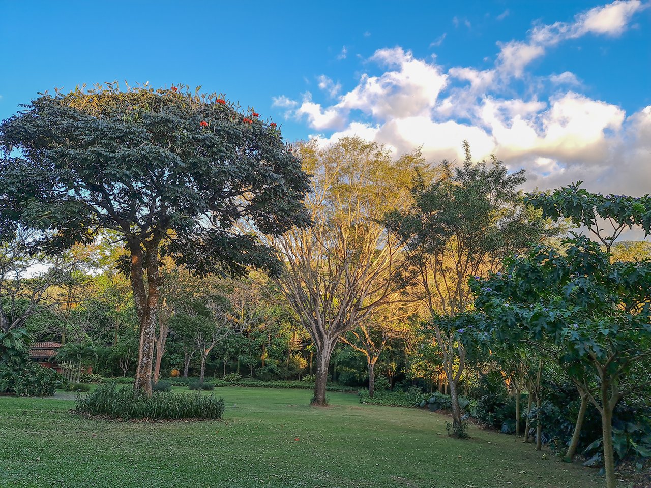 Fully Furnished Luxury Home