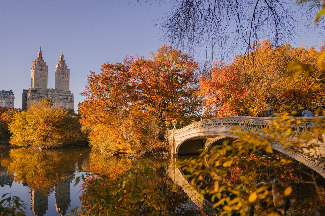 Central Park’s Bow Bridge and the San Remo towers framed by vivid autumn foliage.
