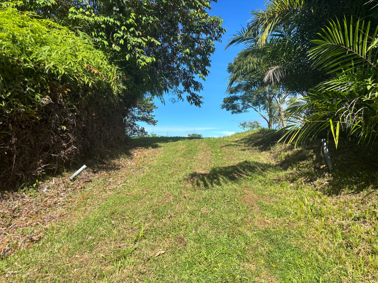 3.41 Acres, Ocean View Property In Ojochal With Legal Water!