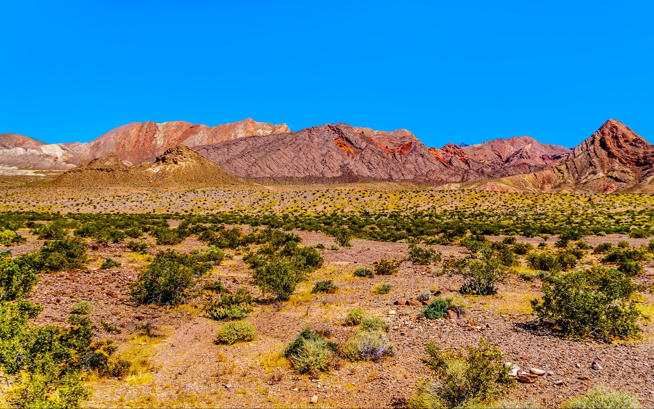 Colorful desert mountains rise above rocky terrain dotted with shrubs.