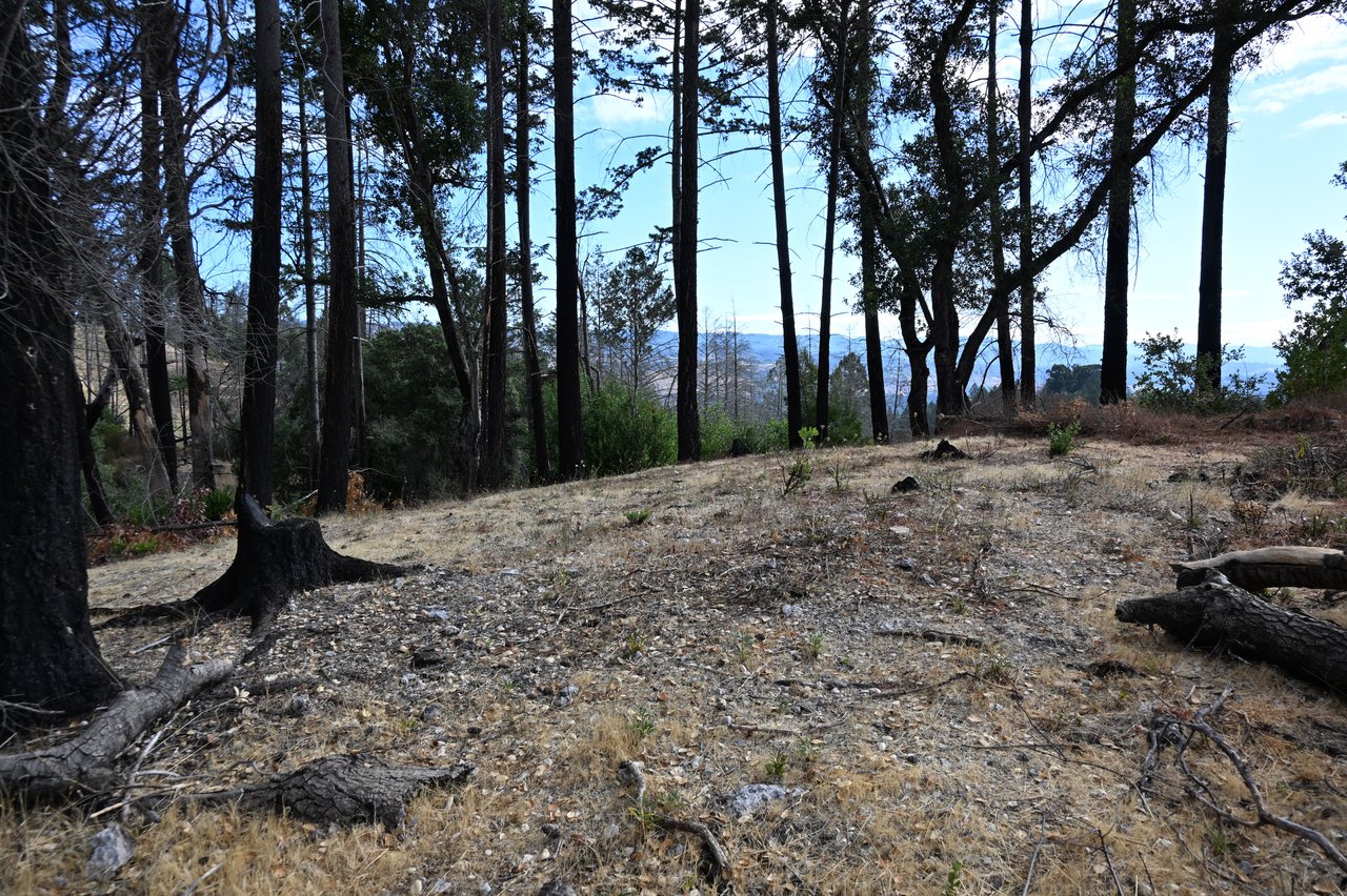 2910 Spring Mountain Rd