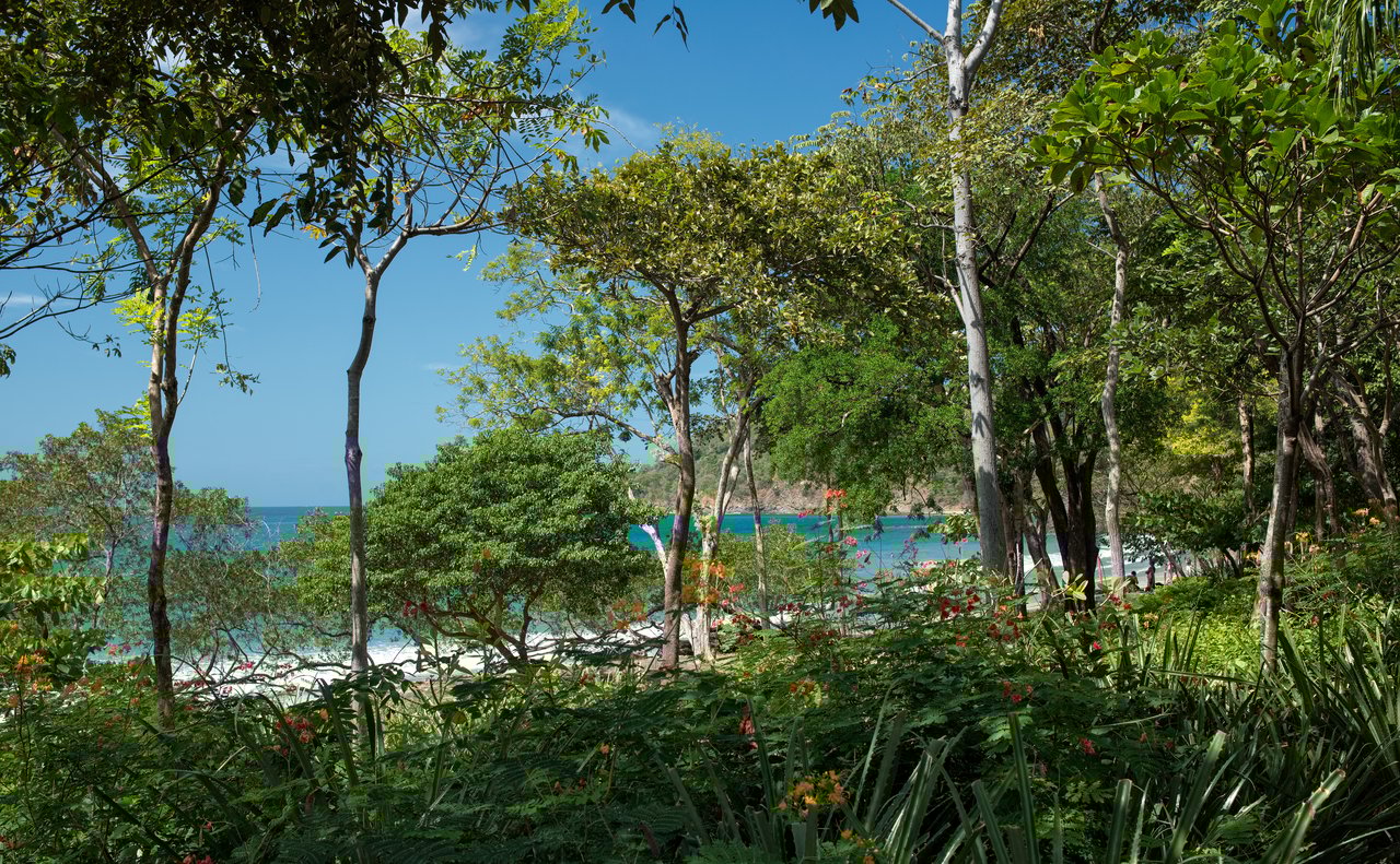 7 Calle La Ronda | Elegant 3-Story Ocean View Hillside Home in Las Catalinas