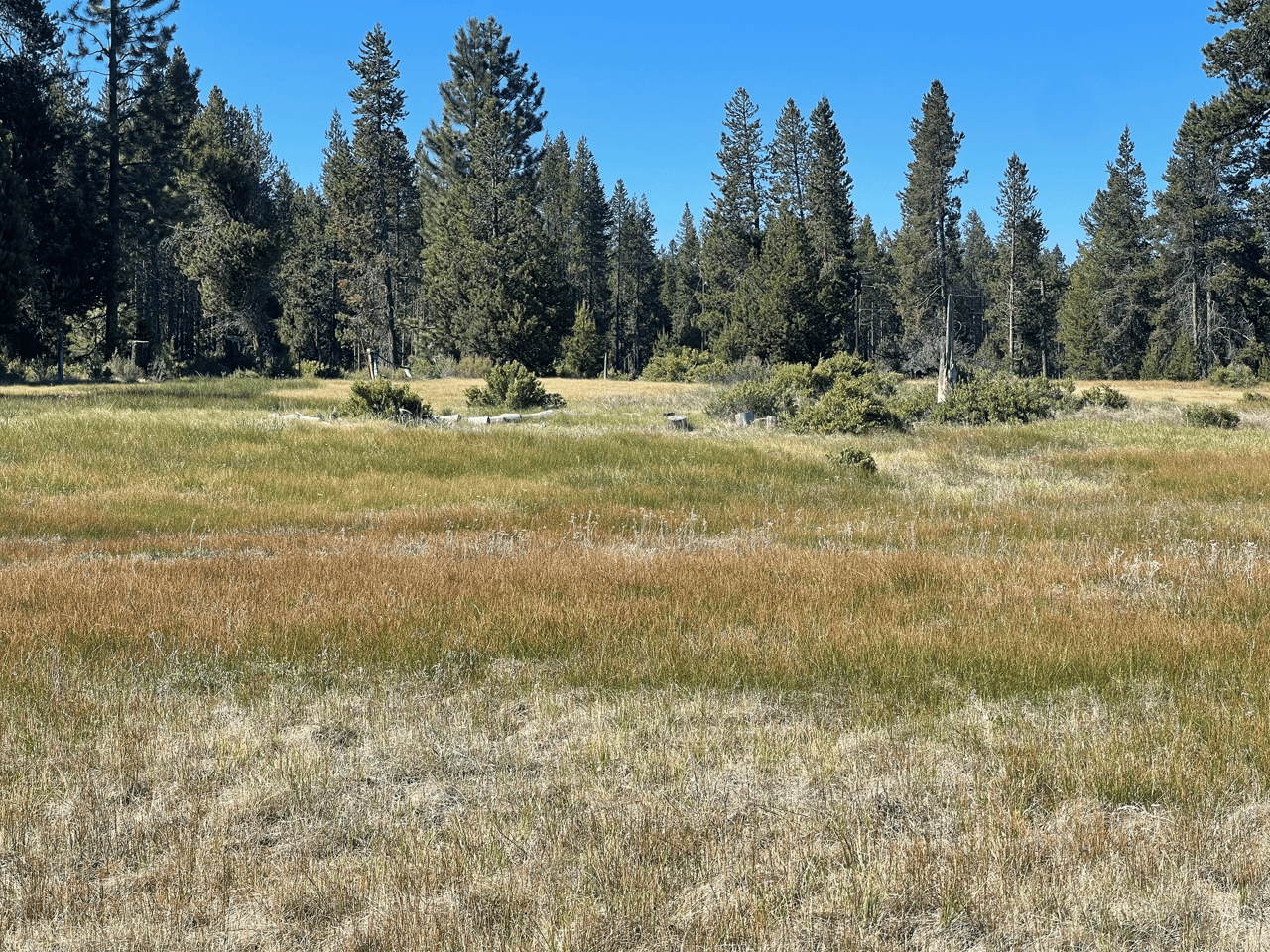 Just Listed: 23 Acres of Land with River Frontage