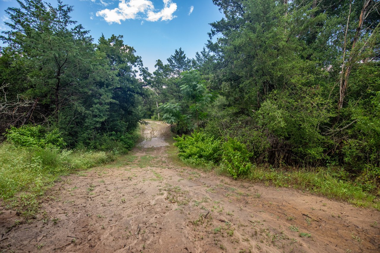 Post Oak Preserve | 18.115 ± Acres | Fayette County