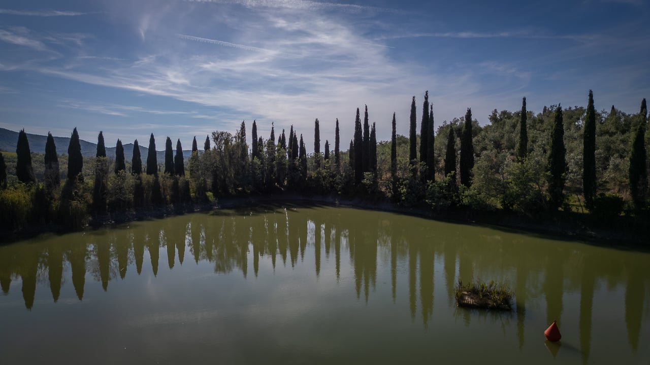 IL LEONE DEL FIORA
