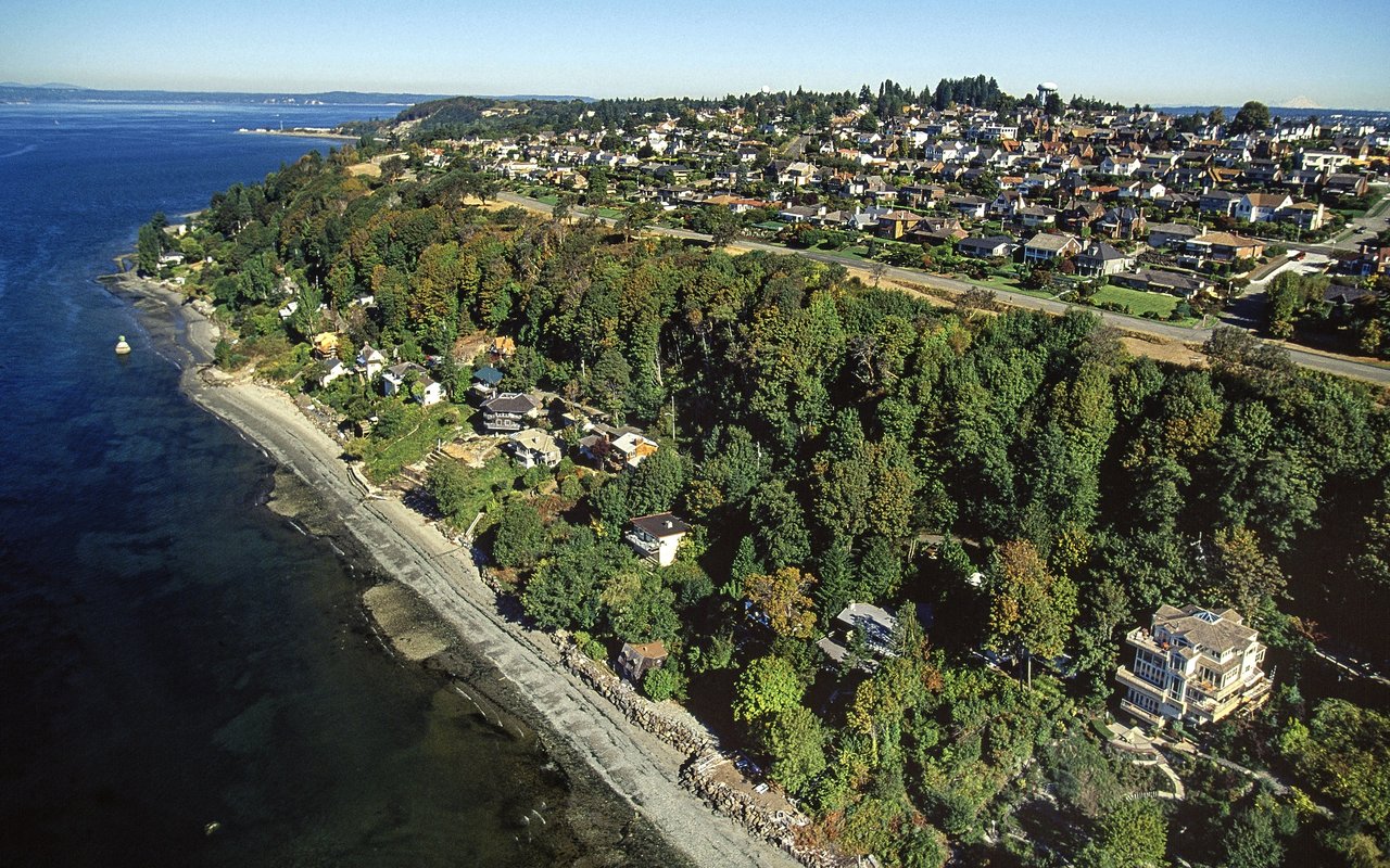 Magnolia
