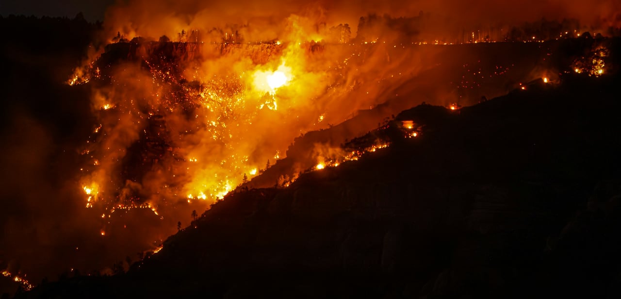 California’s New Zone 0 Fire Rules: What East Bay Hills Homeowners Must Do