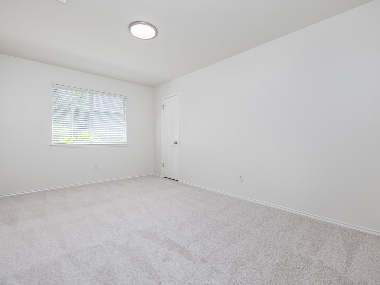 Rare Greenbelt Gem in Steiner Ranch with Major Upgrades