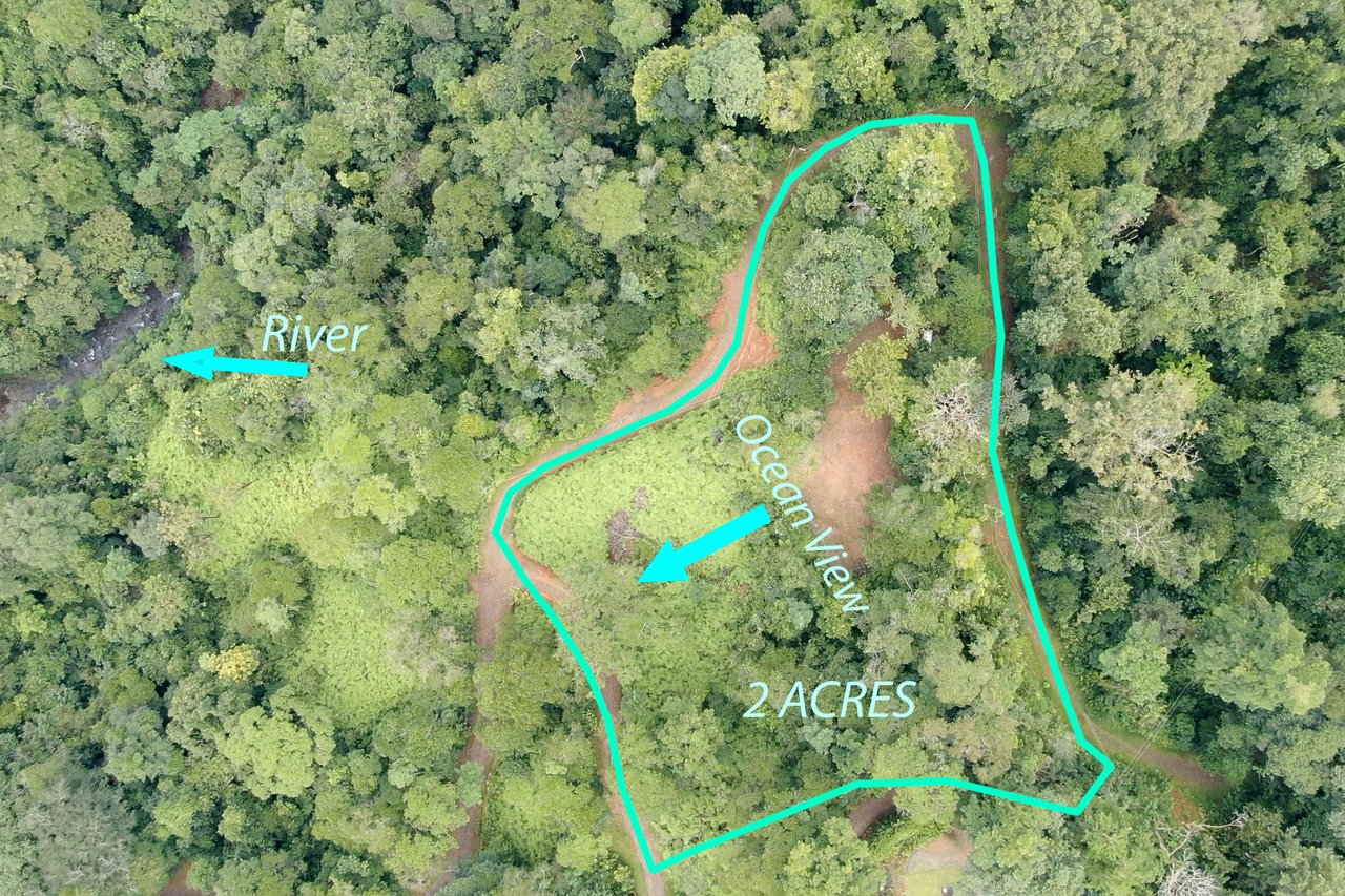 Beautiful 2 Acre Ocean View Lot inset into nature