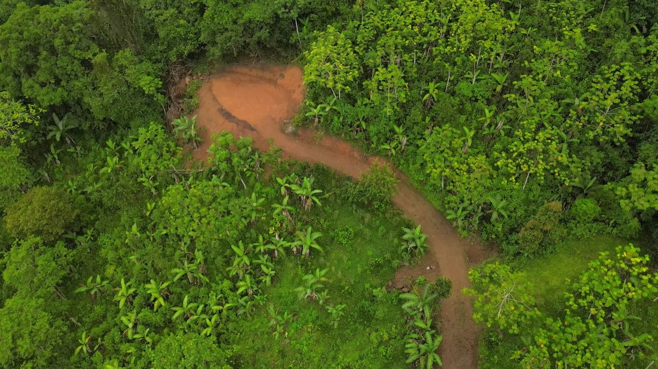 Mountain View Land with Several Building Sites and Mature Fruit Trees