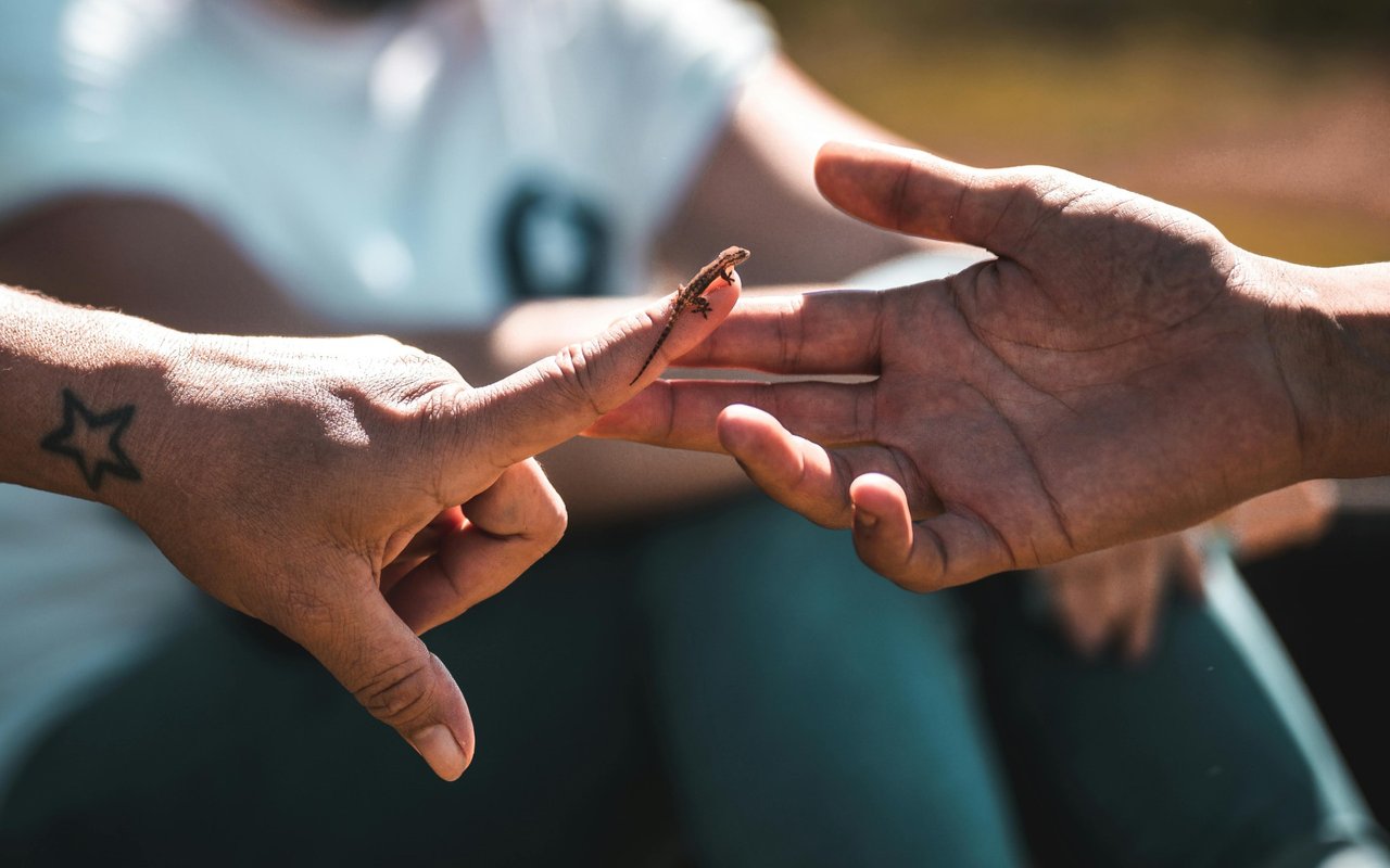 Two people touch fingertips; one has a star tattoo on their wrist.