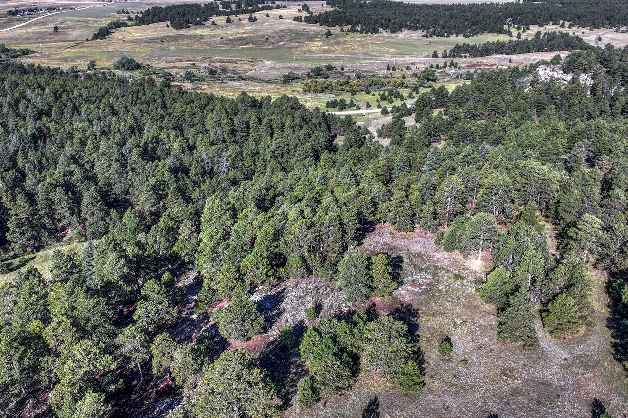 19100 County Road 17