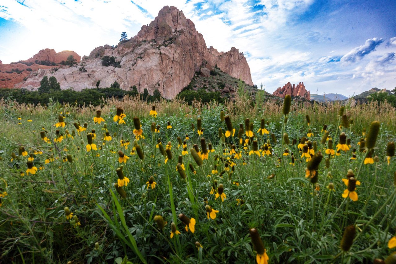 Garden of the Gods: Where Colorado Springs Comes Alive