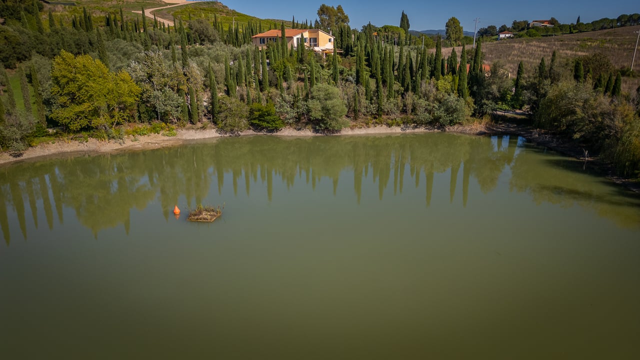 IL LEONE DEL FIORA