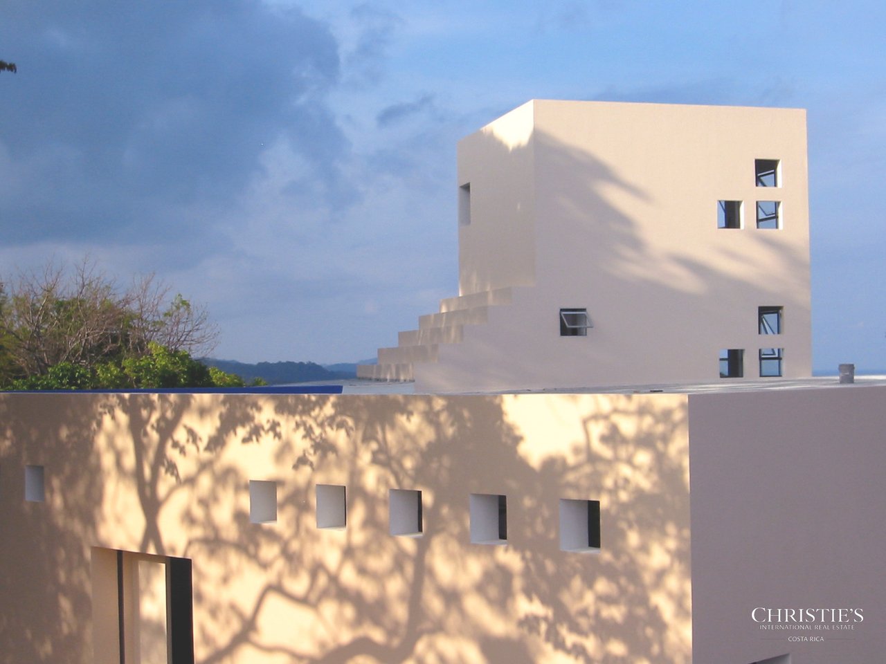 Jungle and Ocean Architectural Masterpiece