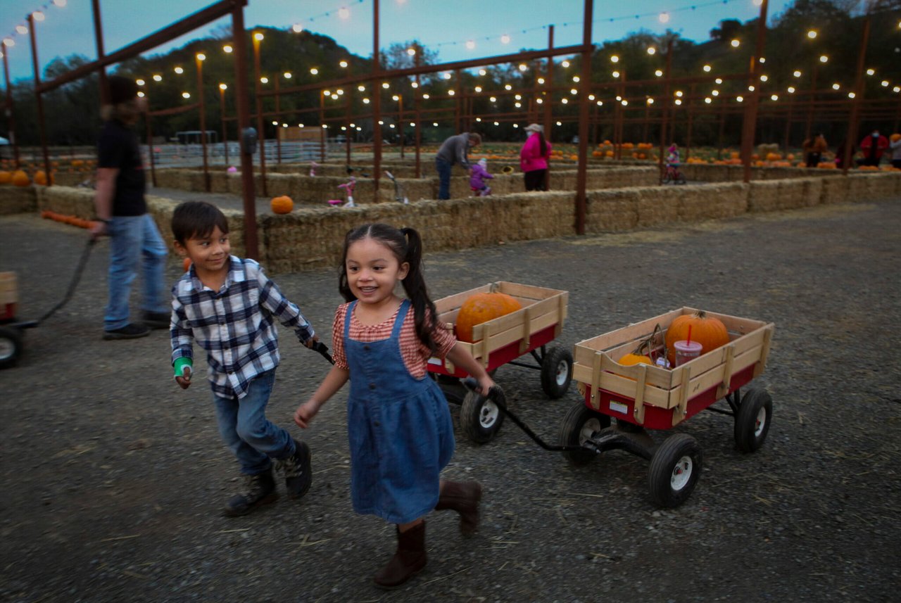 The Ultimate Guide to Sonoma County Pumpkin Patches in 2025
