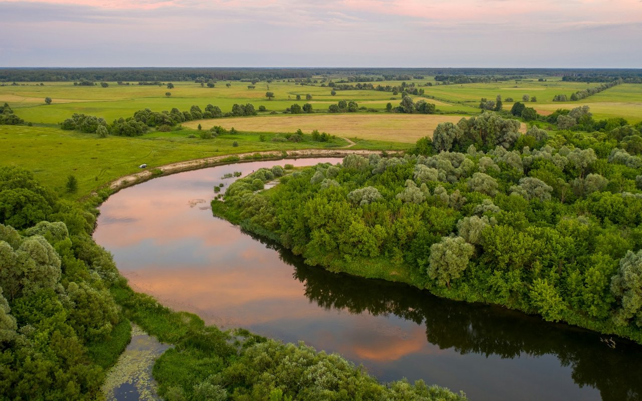 Winding river through dense green trees, with open fields stretching across the horizon.