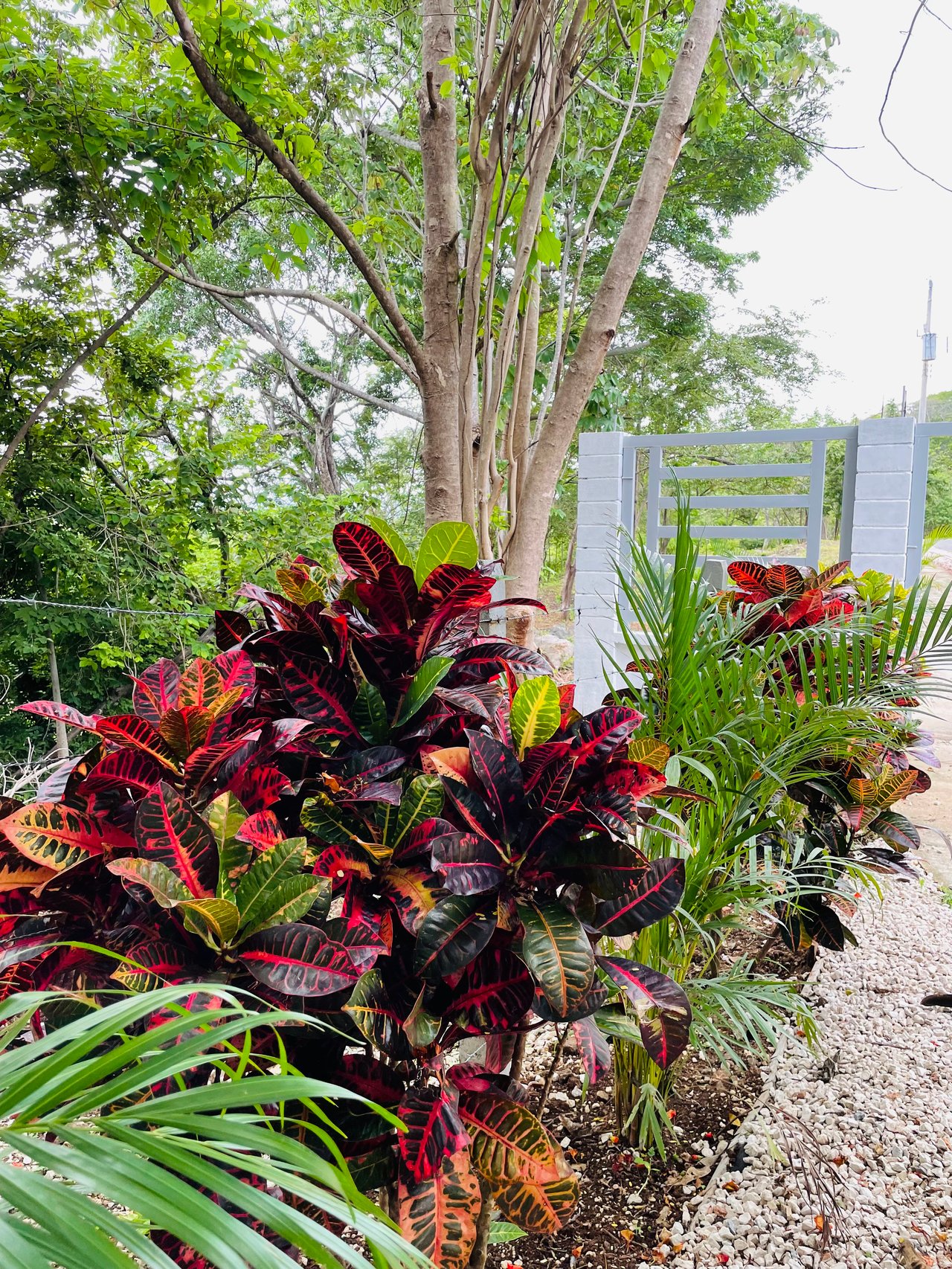 Valle Escondido Development | New Gated Community Near Tamarindo Beach