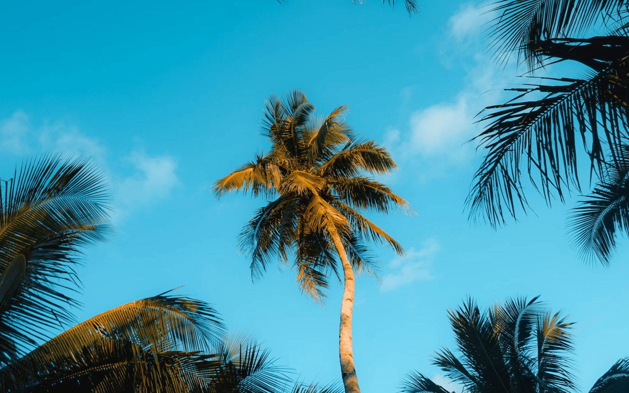 What to Know When Investing in a Vacation Rental