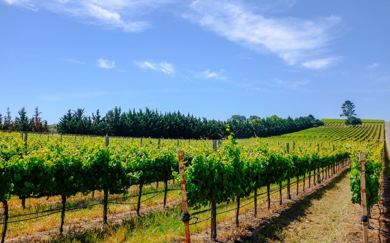 Santa Ynez Valley