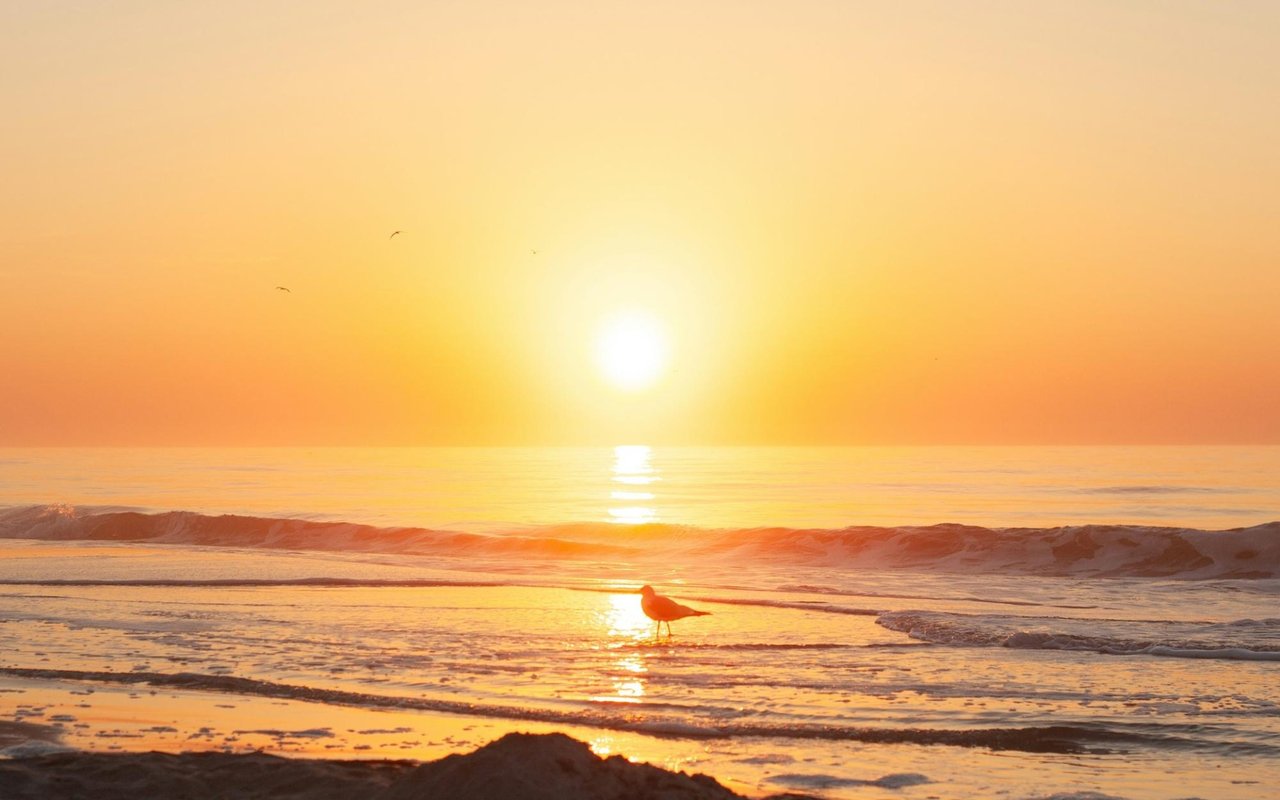 Things to Do on Hilton Head Island, SC