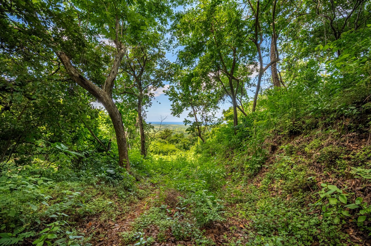 The Enclave At Los Cielos | Ocean & Mountain View Lots Near Playa Avellanas – From $85,000 to $275,000