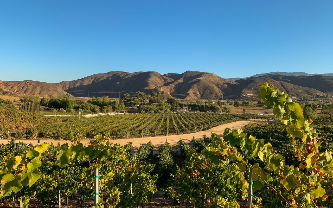 Temecula