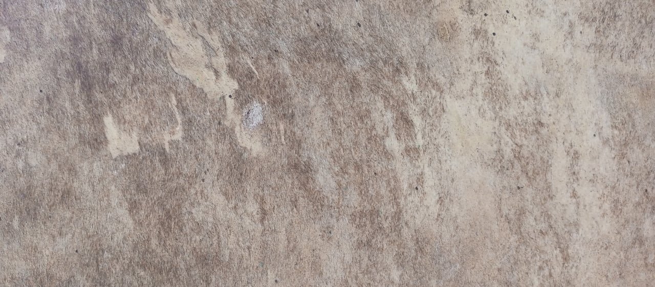 Rough mottled beige and gray surface with irregular pale patches and dark speckles.
