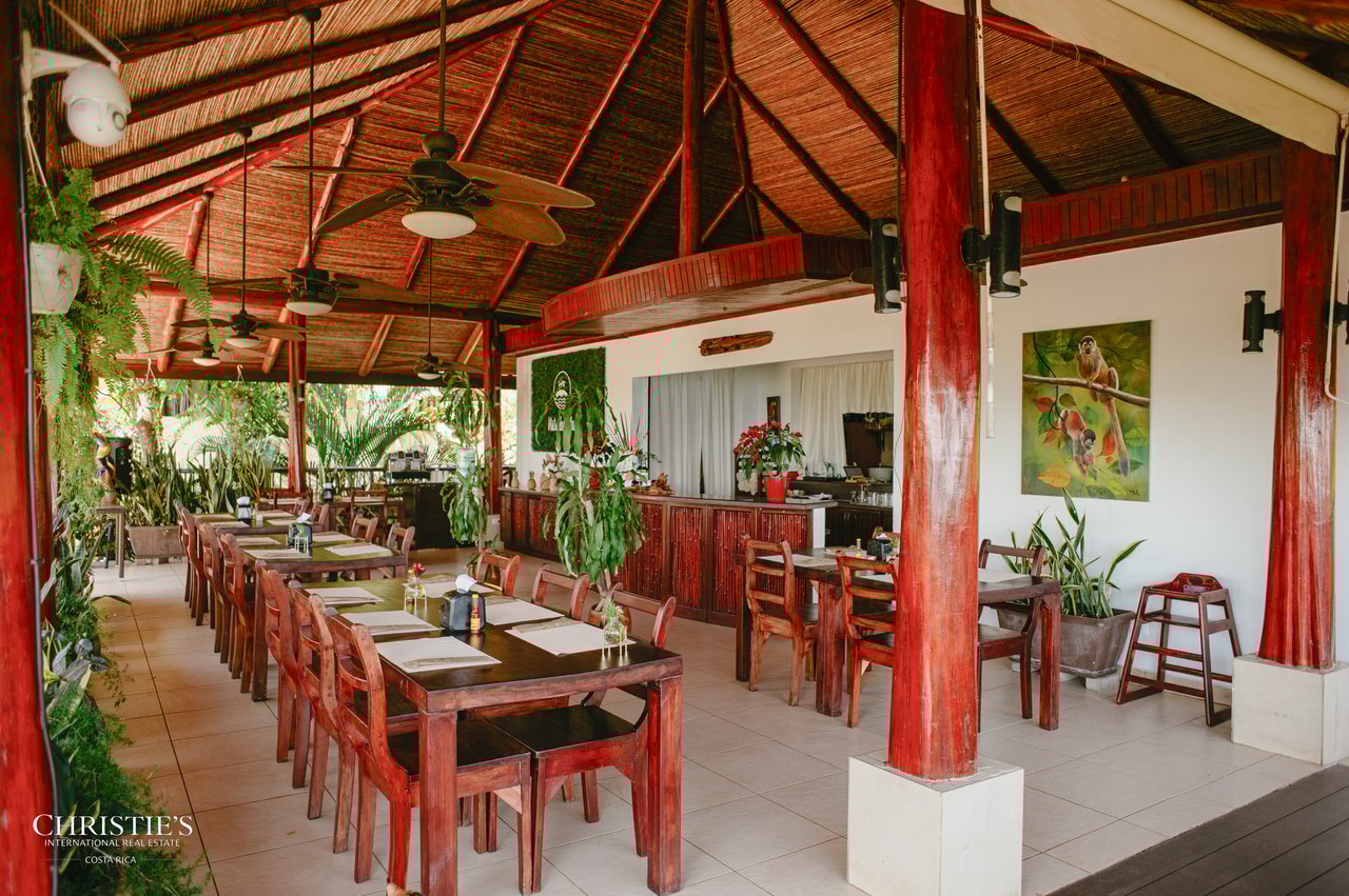 Vistas Las Islas Hotel - The Crown Jewel Overlooking Isla Tortuga and Playa Organos