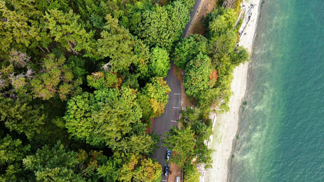How to Make the Most of Your Move to Camano Island