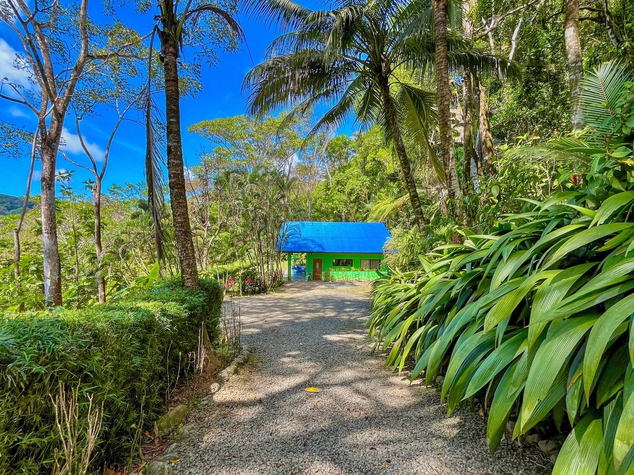 2.35 ACRES- 2 Bedroom Colorful Jungle Home With Ocean Views, Privacy, Room To Build More, Only 10 Min To Dominical!!!