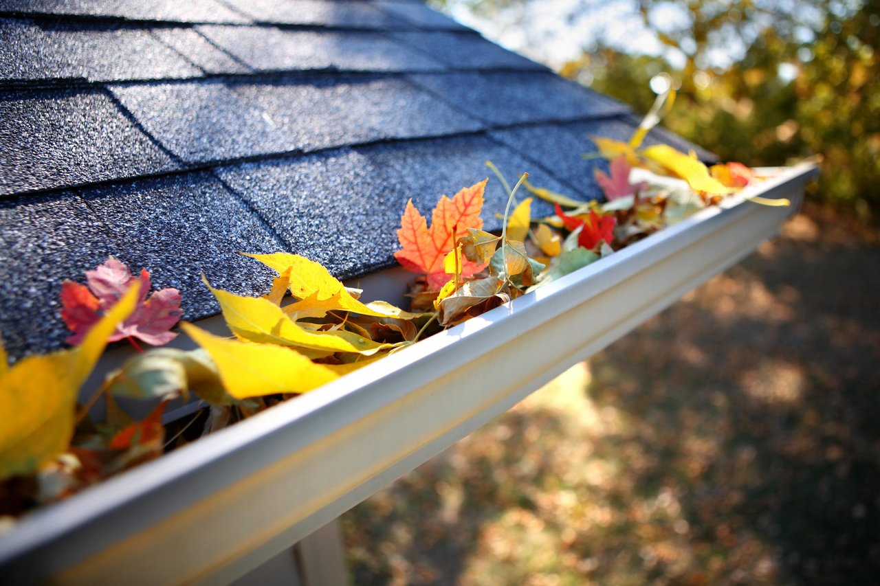 Autumn leaves clog a white gutter beneath dark roof shingles.
