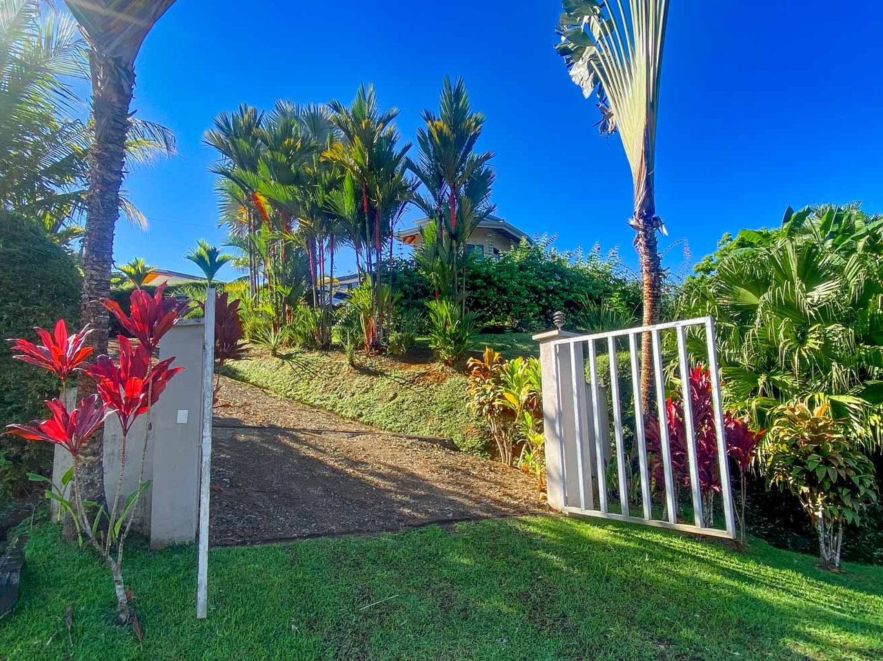 Ocean, Jungle & Mountain View Home in Ojochal | Protected Jungle Setting