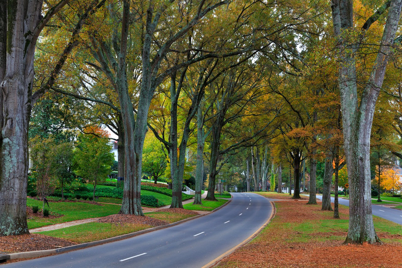 Myers Park