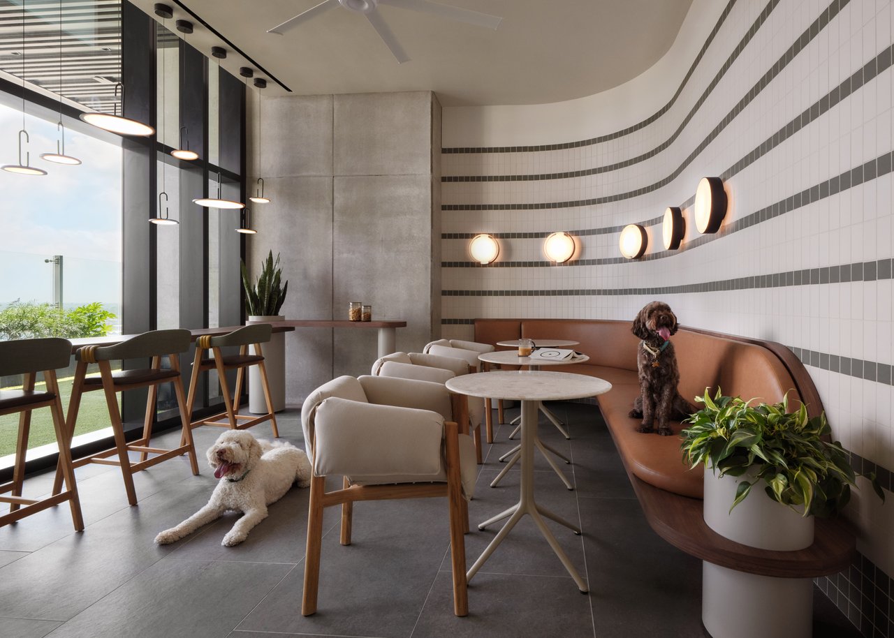 The Modern Penthouse 5502 North