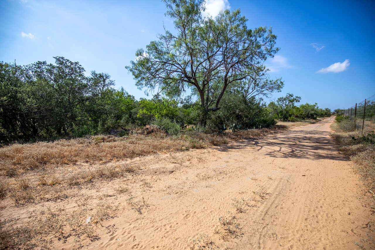 Oaks, Wildlife, & the Quiet of the Countryside | 26.99± Acres | Poteet, TX