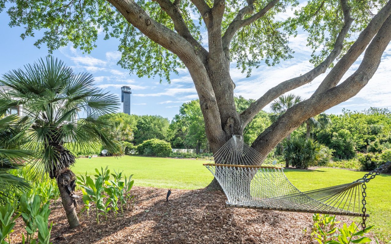 Summer Activities in Charleston