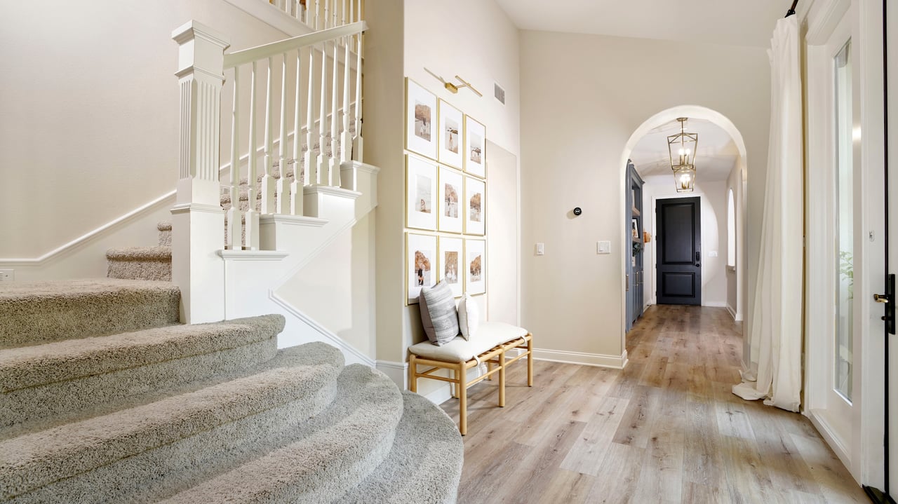 19 Basilica Place